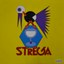 strega T17029