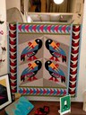 4 Pellicani con pesce T24009