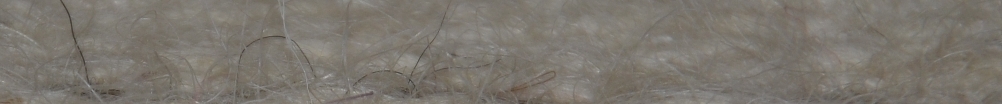 Tessuto lana